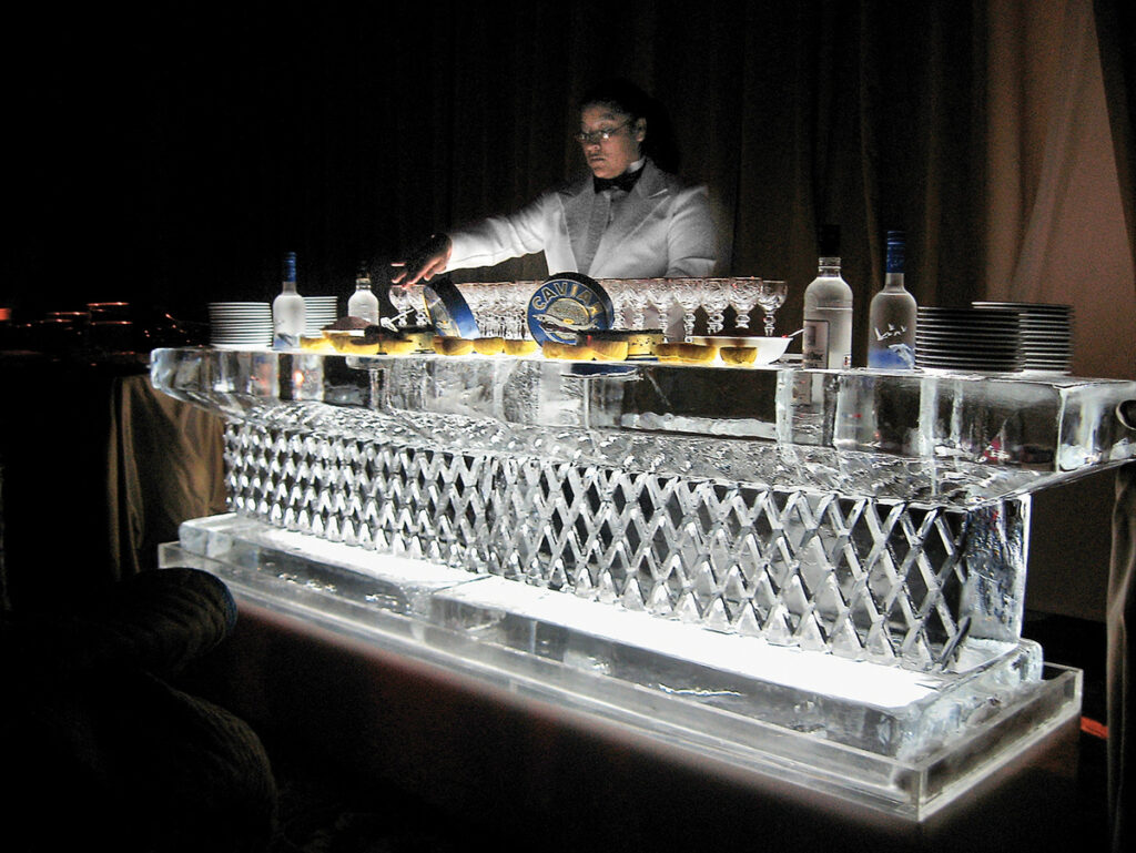 Ice Luge or Ice Shots