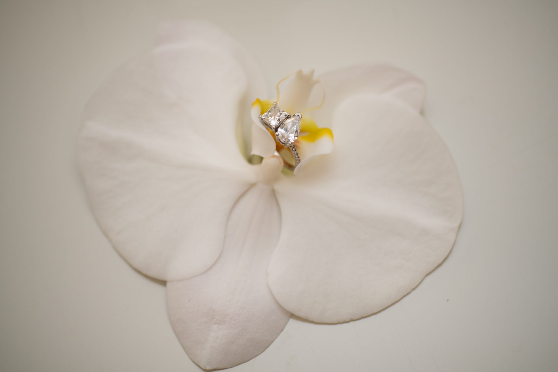 0001_AlanaKevinWedding_DIG0001