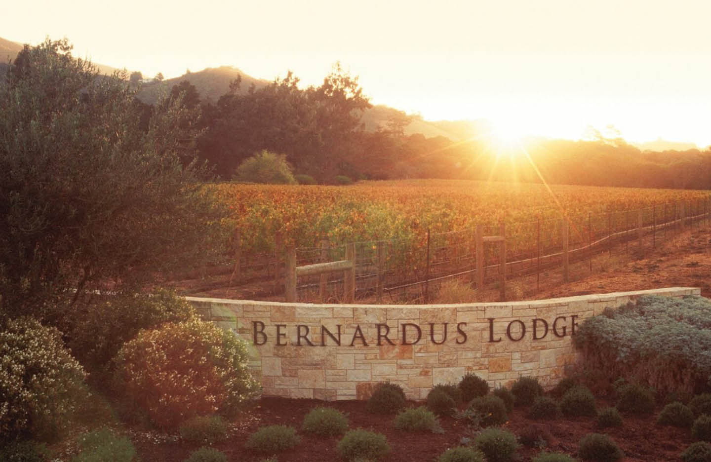 Bernardus Lodge BLOG Feature9