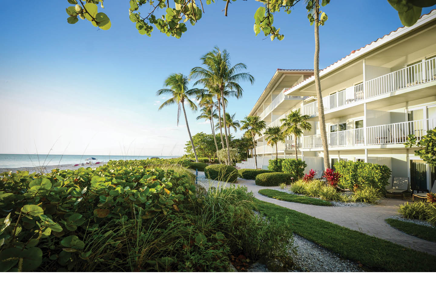 Laplaya Beach Resort BLOG Feature NON Q & A 3