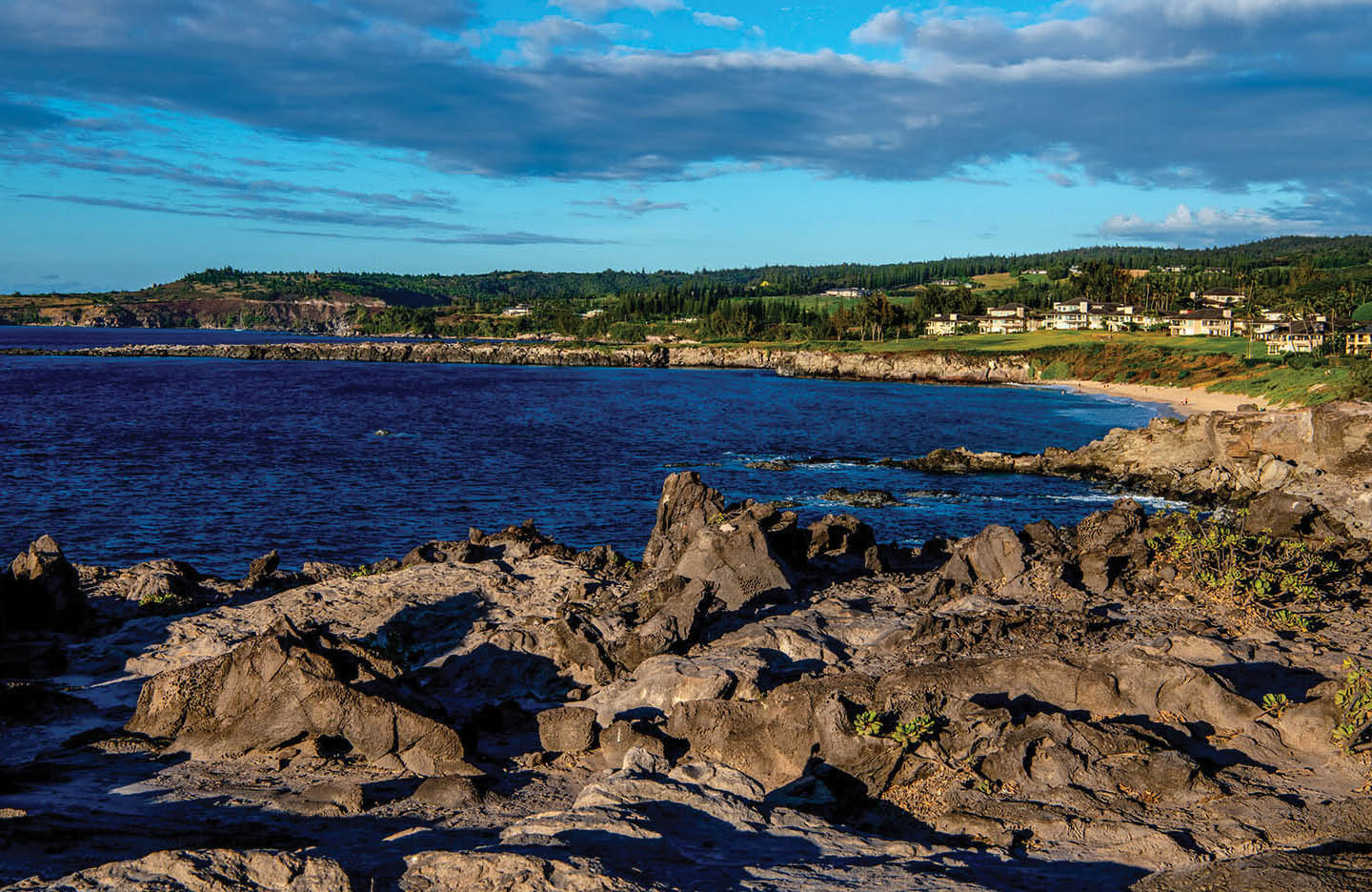 Ritz-Carlton Maui Q & A Feature5