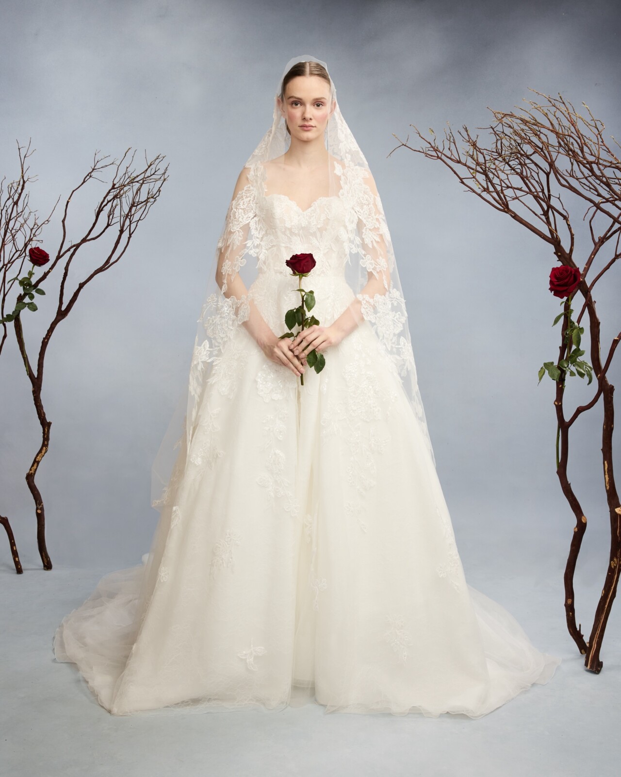 reem-acra-R1025 TEA ROSE