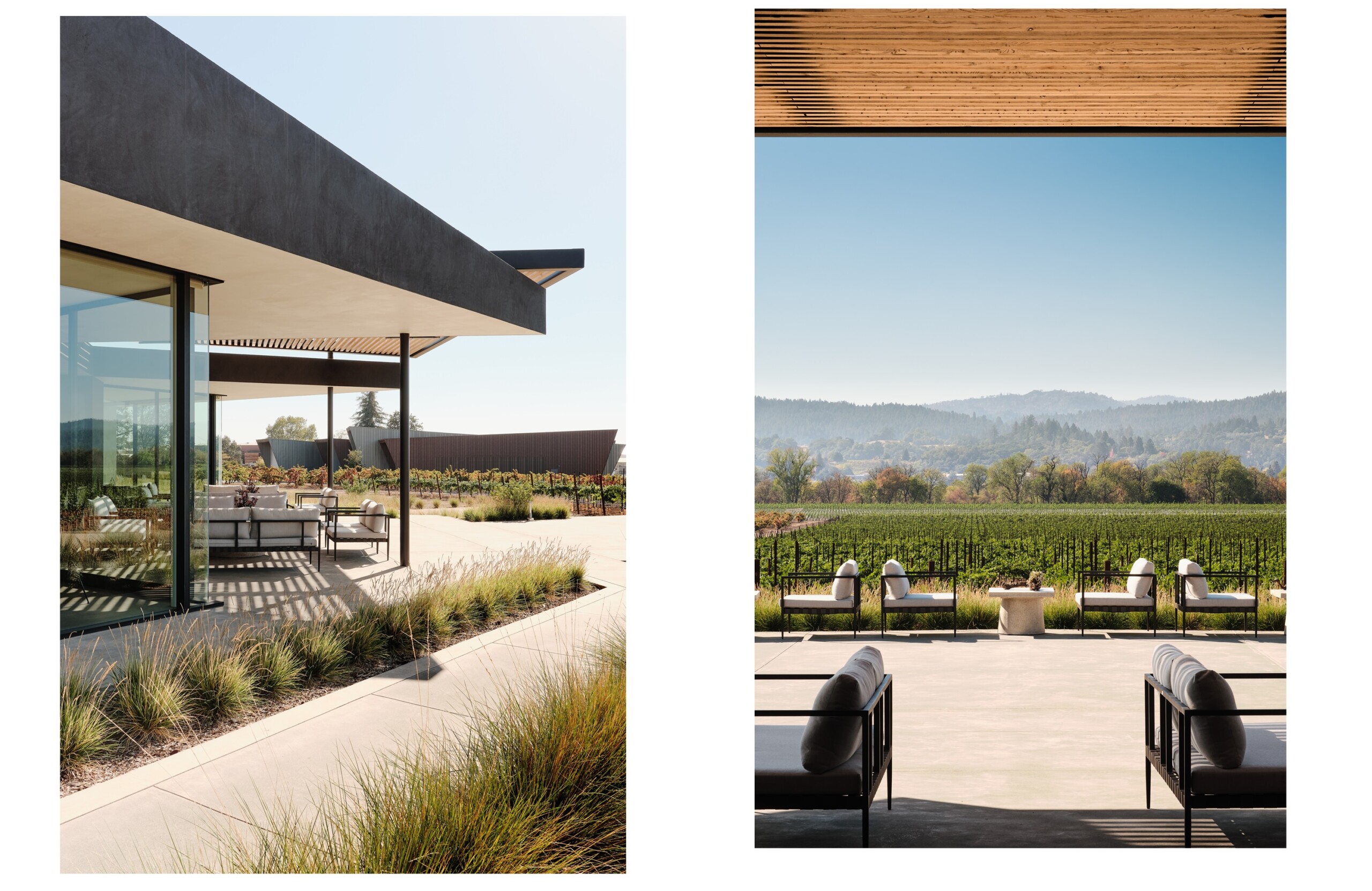 Wine Story2