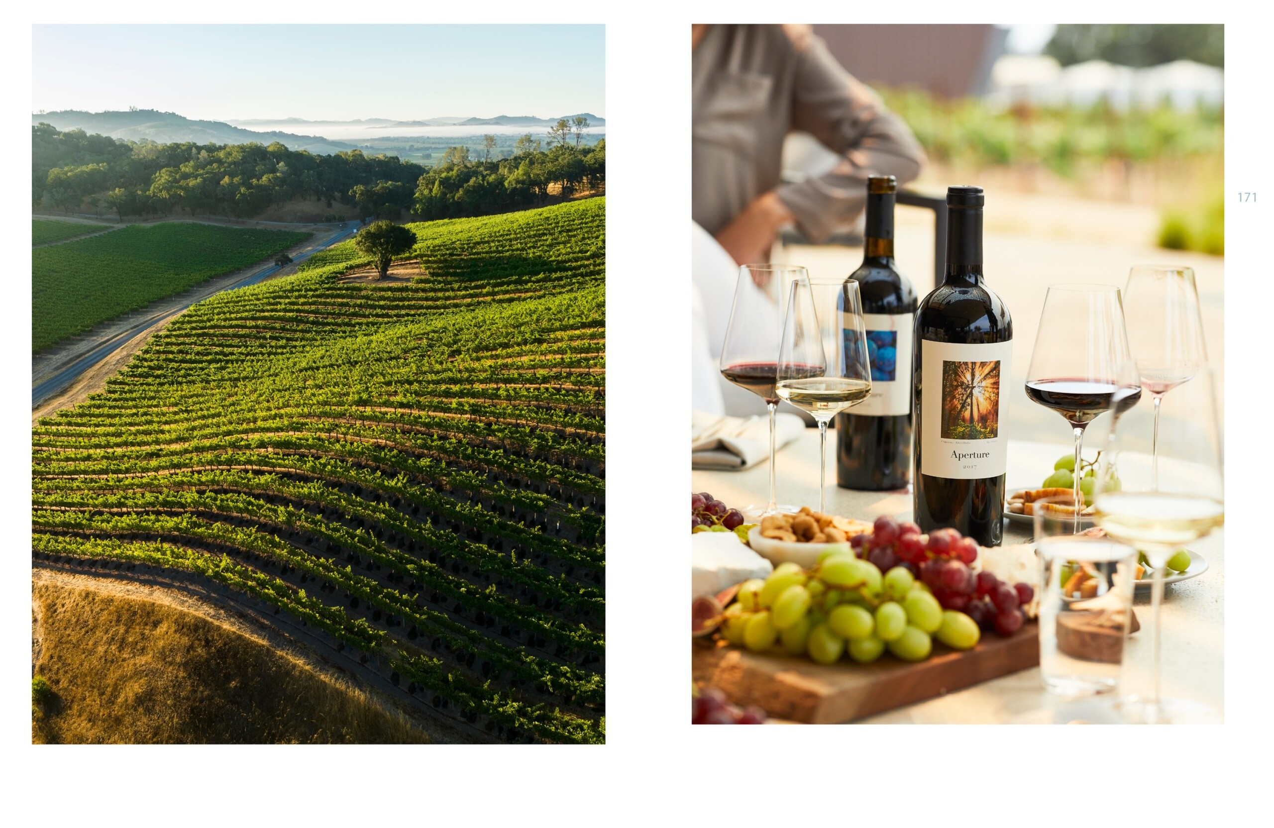 Wine Story4