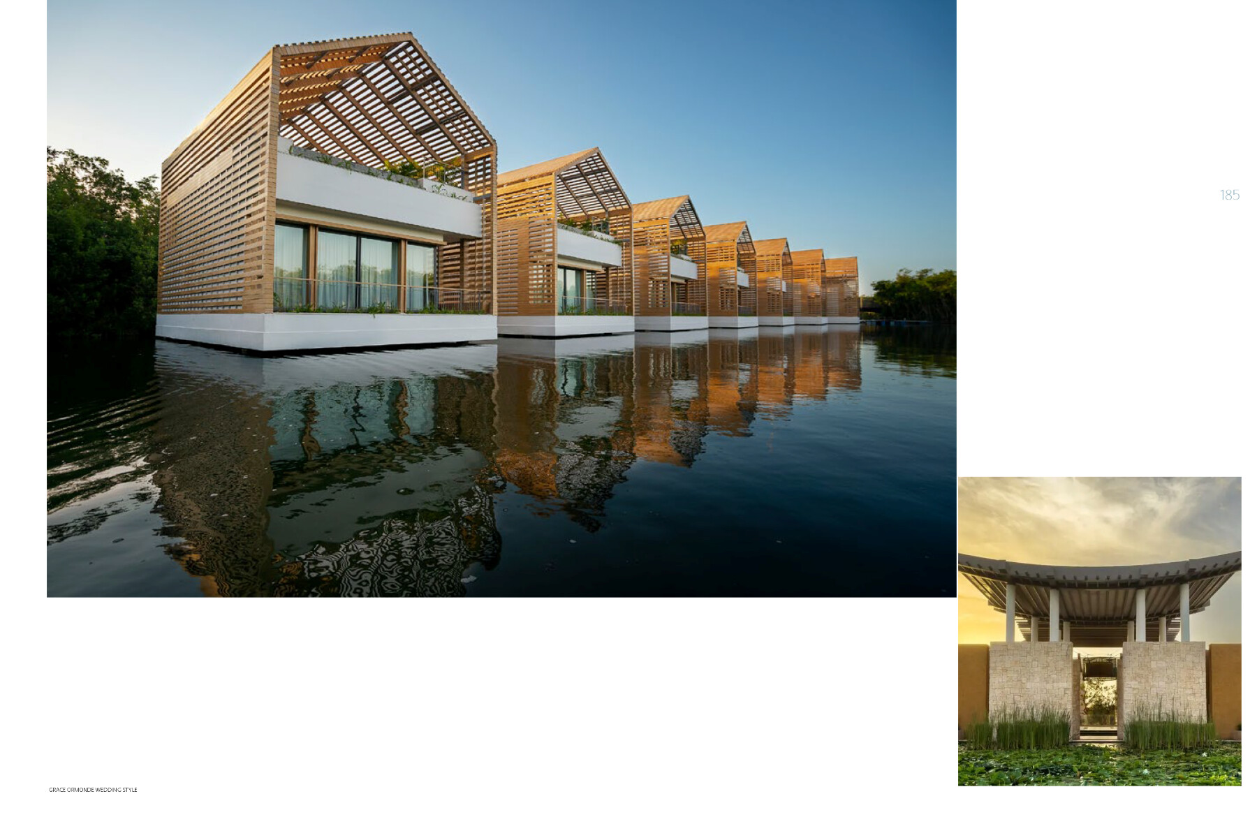 Banyan_Tree_June_2025 2 png