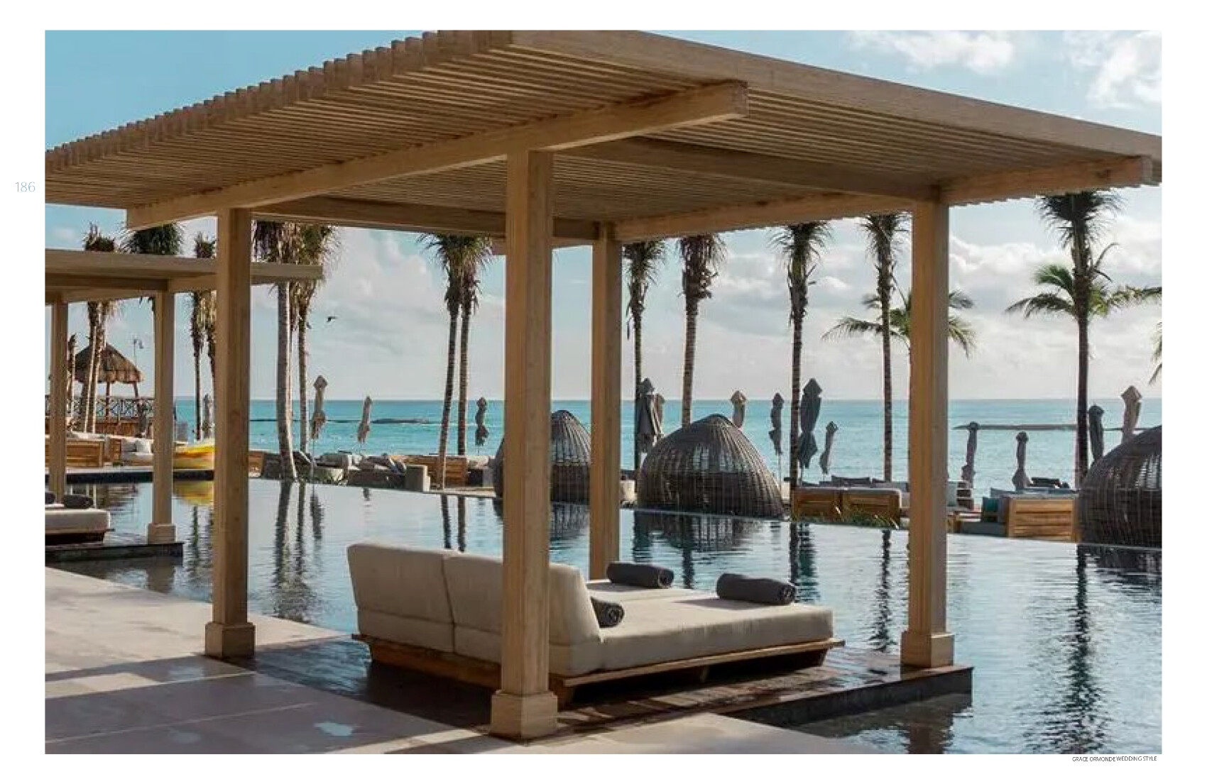 Banyan_Tree_June_2025 3 png