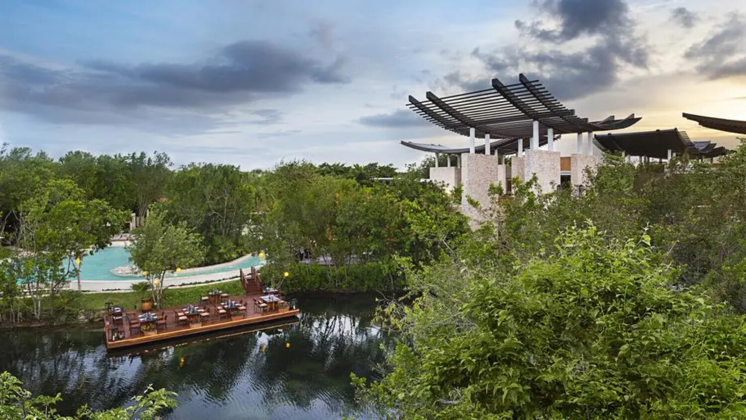 Banyan_Tree_June_2025 4 png.png 2
