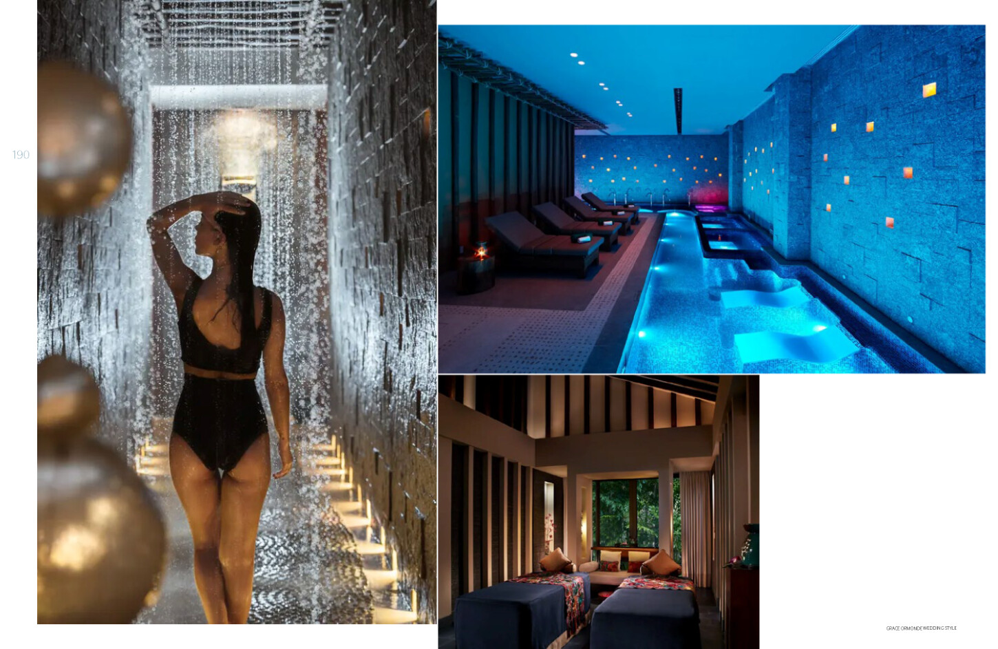 Banyan_Tree_June_2025 5 png