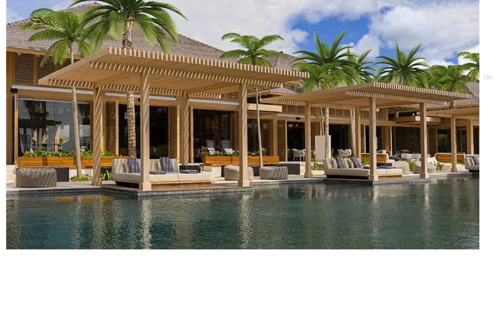 Banyan_Tree_June_2025 6 png