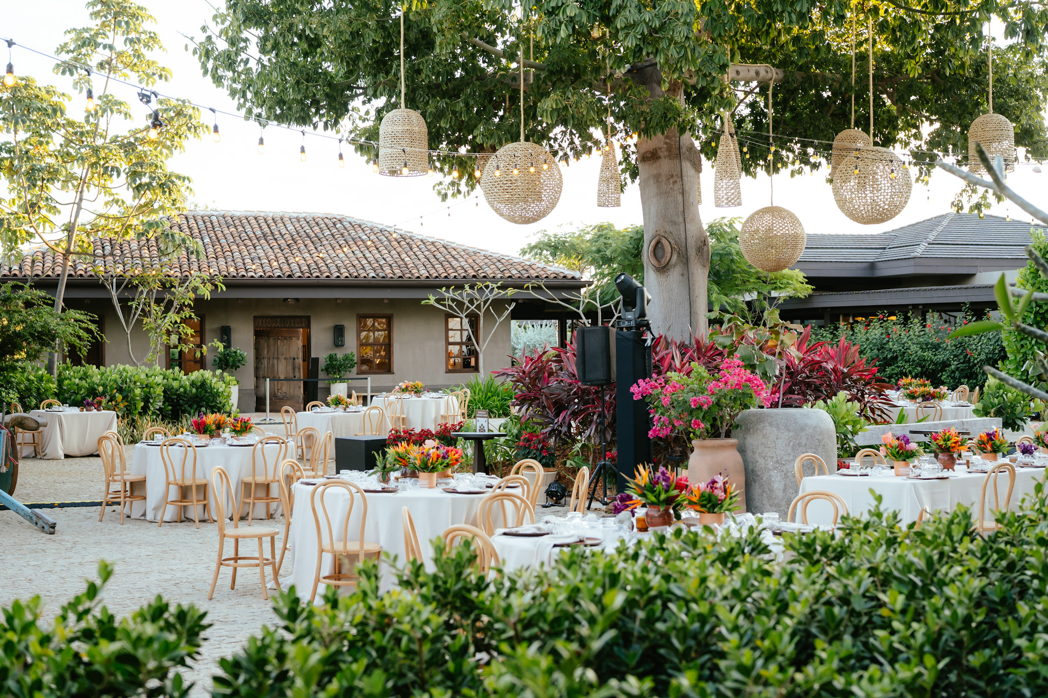 Nekajui Outdoor Cocktail Hour TCC05574