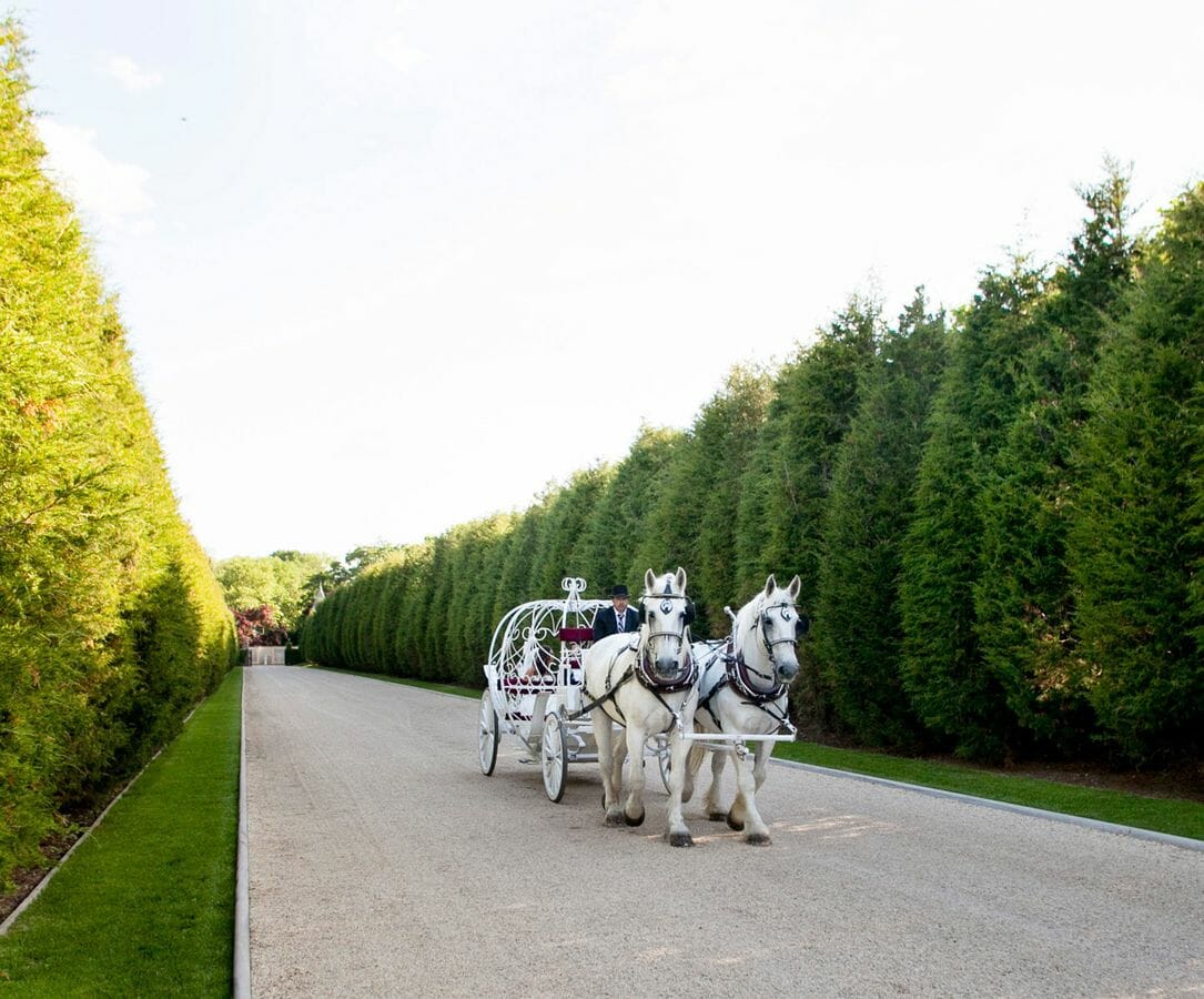 Oheka_Castle_Horse_Carriage
