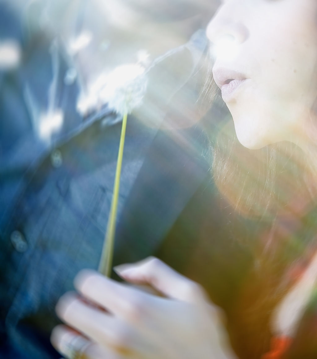 blow_flower_kwalsh blow_flower_kwalsh