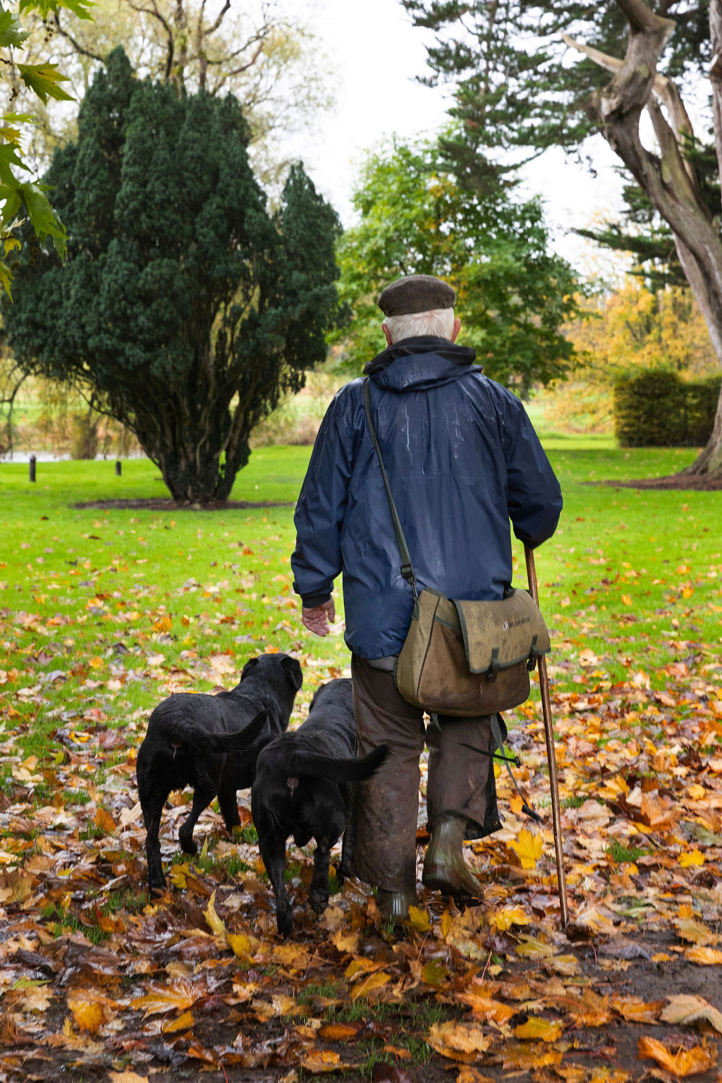 man_with_dogs_kwalsh